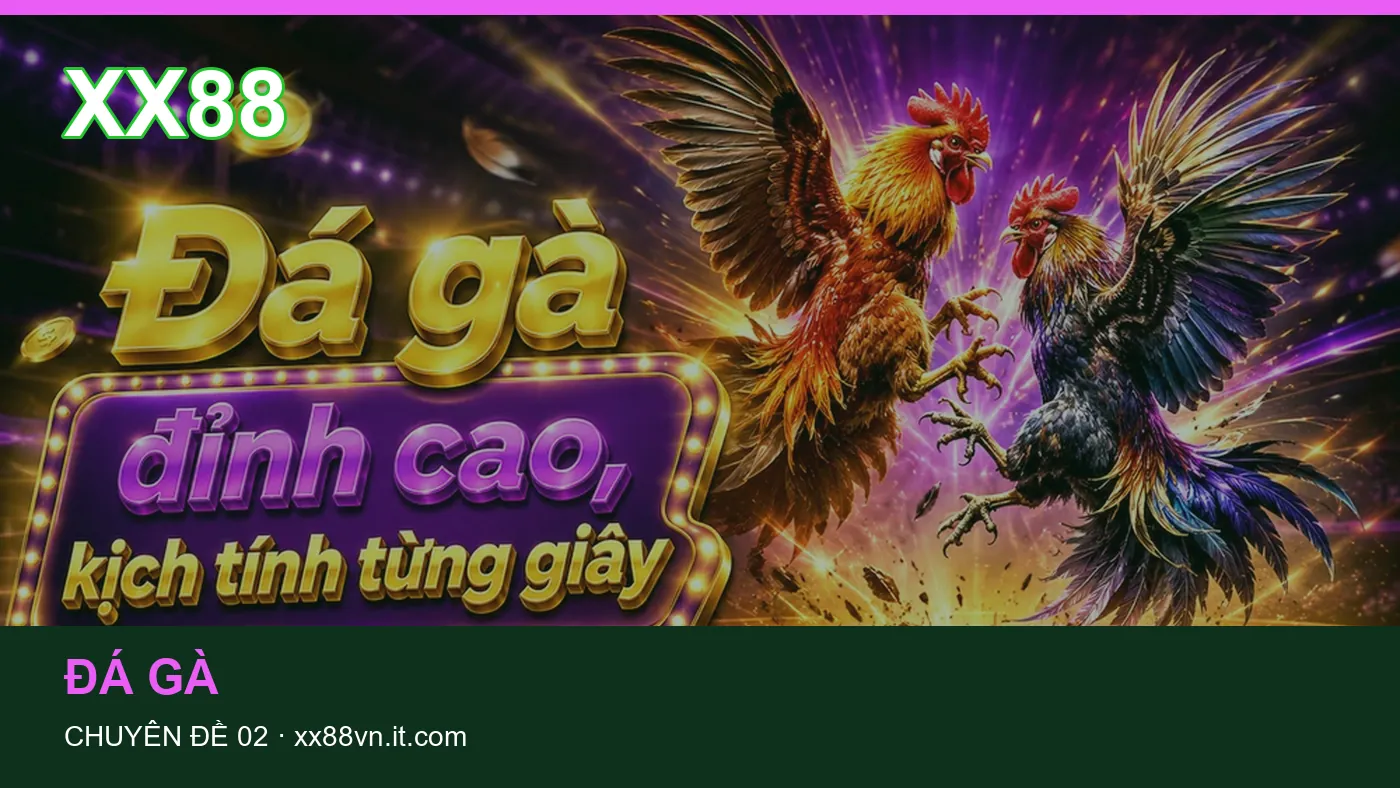 Danh sách kiểm tra thông tin Game bài dành cho người đọc XX88 | xx88vn.it.com
